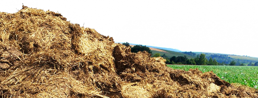 Bactériolit Concentré